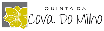 Quinta Logo
